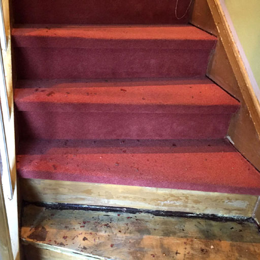 Teppich von Treppe entfernen