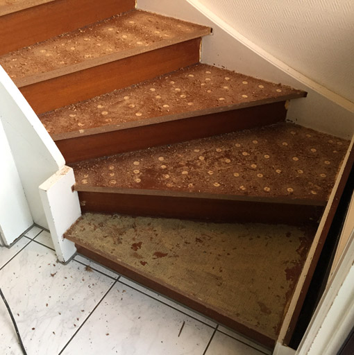 Treppe ohne Teppich und mit flachen Bohrungen für das Laminat