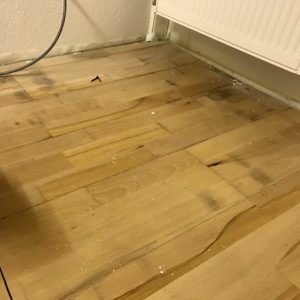 Parkett im Keller verlegen? Besser nicht, sagen wir. | Parkett Remel