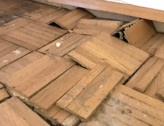 Wasserschaden im Bodenbelag: Parkett wölbt sich nach oben